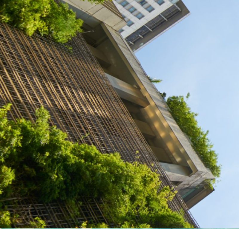 Solution Bank ha finanziato Vitruvius & Partners con due prestiti rispettivamente garantiti dal Fondo di Garanzia MCC e dal FE